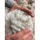 Storybook FLEECE - HOME GROWN - Southern HIghlands NSW